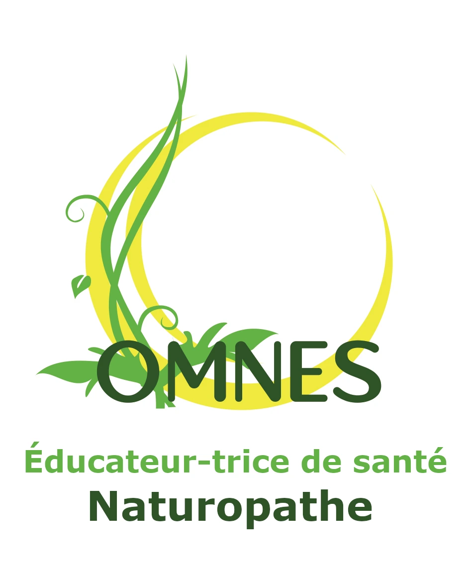 logo omnes